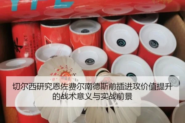 qie-er-xi-yan-jiu-en-zuo-fei-er-nan-de-si-qian-cha-jin-gong-jia-zhi-ti-sheng-de-zhan-shu-yi-yi-yu-shi-zhan-qian-jing-2-533.jpg